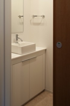 House B/C first floor washroom   House B/C first floor washroom